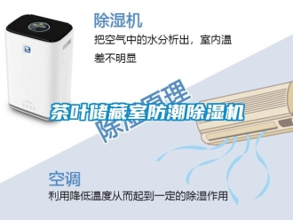 企业香蕉视频APP下载地址茶叶储藏室防潮香蕉视频一区二区机