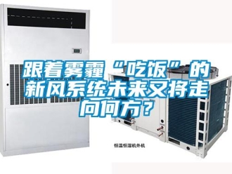 企业香蕉视频APP下载地址跟着雾霾“吃饭”的新风系统未来又将走向何方？