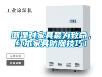 企业香蕉视频APP下载地址潮湿对家具最为致命，红木家具防潮技巧！