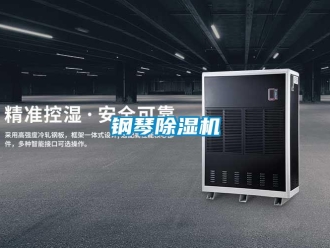 企业香蕉视频APP下载地址钢琴香蕉视频一区二区机