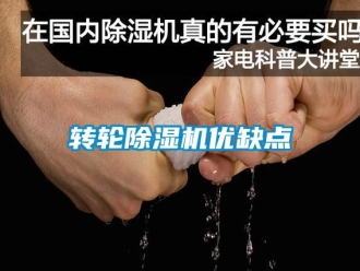 知识百科转轮香蕉视频一区二区机优缺点