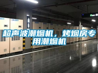 企业香蕉视频APP下载地址超声波潮烟机，烤烟房专用潮烟机