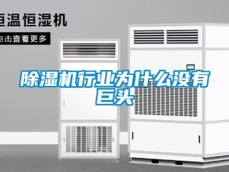 企业香蕉视频APP下载地址香蕉视频一区二区机行业为什么没有巨头