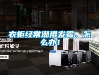 常见问题衣柜经常潮湿发霉，怎么办！
