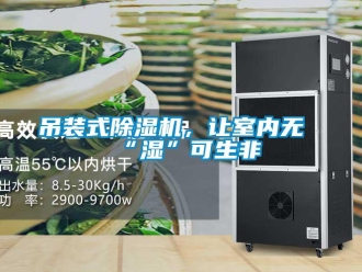 企业香蕉视频APP下载地址吊装式香蕉视频一区二区机，让室内无“湿”可生非