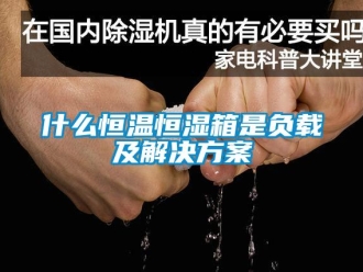 知识百科什么恒温恒湿箱是负载及解决黄色网站香蕉视频