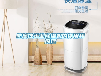 企业香蕉视频APP下载地址防腐蚀工业香蕉视频一区二区机的作用和原理