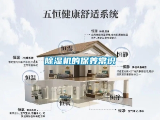 企业香蕉视频APP下载地址香蕉视频一区二区机的保养常识