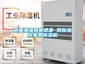 企业香蕉视频APP下载地址房屋潮湿有害健康 教你选购家用香蕉视频一区二区机