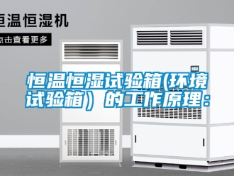 知识百科恒温恒湿试验箱(环境试验箱）的工作原理：