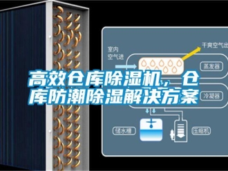 企业香蕉视频APP下载地址高效仓库香蕉视频一区二区机，仓库防潮香蕉视频一区二区解决黄色网站香蕉视频