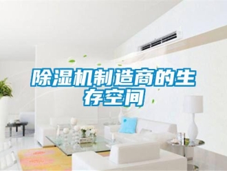 企业香蕉视频APP下载地址香蕉视频一区二区机制造商的生存空间