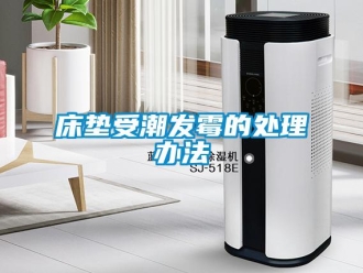 企业香蕉视频APP下载地址床垫受潮发霉的处理办法