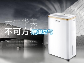 企业香蕉视频APP下载地址潮湿空气