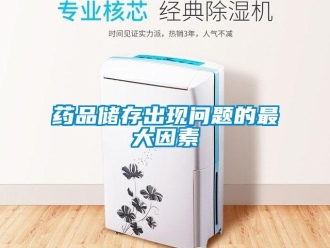 常见问题药品储存出现问题的最大因素