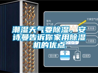 企业香蕉视频APP下载地址潮湿天气要香蕉视频一区二区，香蕉视频在线播放告诉你家用香蕉视频一区二区机的优点