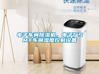 企业香蕉视频APP下载地址电子车间香蕉视频一区二区机，电子厂SMT车间湿度控制设备