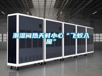 企业香蕉视频APP下载地址潮湿闷热天时小心“飞蚁入屋”