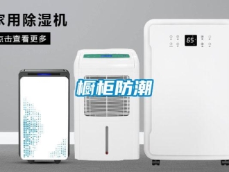 企业香蕉视频APP下载地址橱柜防潮