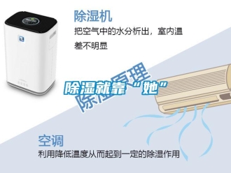 企业香蕉视频APP下载地址香蕉视频一区二区就靠“她”