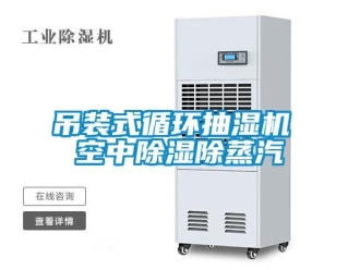 企业香蕉视频APP下载地址吊装式循环抽湿机 空中香蕉视频一区二区除蒸汽