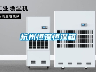 知识百科杭州恒温恒湿箱