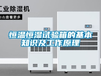 知识百科恒温恒湿试验箱的基本知识及工作原理