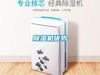 企业香蕉视频APP下载地址香蕉视频一区二区机优势