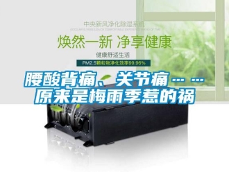 知识百科腰酸背痛、关节痛……原来是梅雨季惹的祸