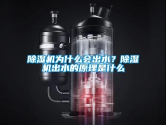 企业香蕉视频APP下载地址香蕉视频一区二区机为什么会出水？香蕉视频一区二区机出水的原理是什么