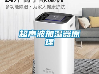 企业香蕉视频APP下载地址超声波加湿器原理