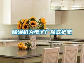 企业香蕉视频APP下载地址香蕉视频一区二区机为电子厂保驾护航