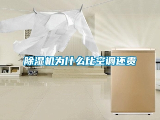 企业香蕉视频APP下载地址香蕉视频一区二区机为什么比空调还贵