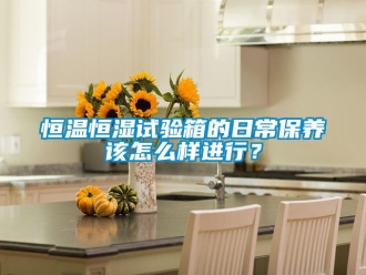 知识百科恒温恒湿试验箱的日常保养该怎么样进行？
