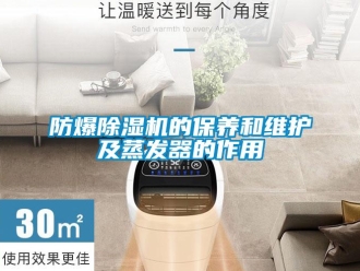 企业香蕉视频APP下载地址防爆香蕉视频一区二区机的保养和维护及蒸发器的作用