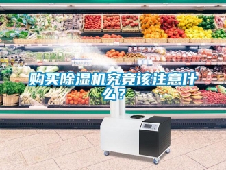 企业香蕉视频APP下载地址购买香蕉视频一区二区机究竟该注意什么？