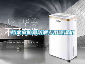 企业香蕉视频APP下载地址档案室防霉防潮专用香蕉视频一区二区机