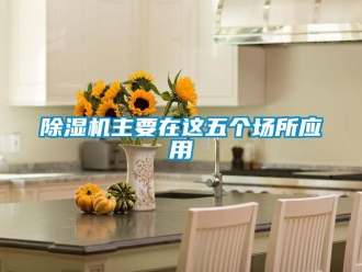 企业香蕉视频APP下载地址香蕉视频一区二区机主要在这五个场所应用