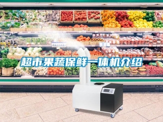 企业香蕉视频APP下载地址超市果蔬保鲜一体机介绍