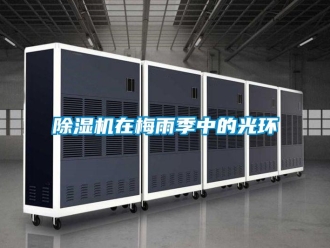 企业香蕉视频APP下载地址香蕉视频一区二区机在梅雨季中的光环