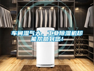 企业香蕉视频APP下载地址车间湿气大，工业香蕉视频一区二区机却能帮助到您！