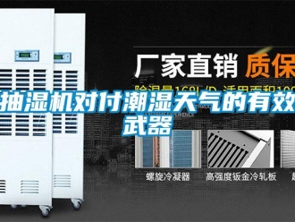 企业香蕉视频APP下载地址抽湿机对付潮湿天气的有效武器