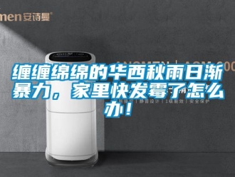 常见问题缠缠绵绵的华西秋雨日渐暴力，家里快发霉了怎么办！