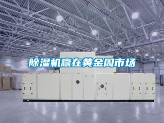 企业香蕉视频APP下载地址香蕉视频一区二区机赢在黄金周市场