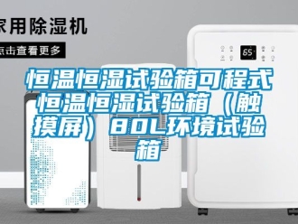 知识百科恒温恒湿试验箱可程式恒温恒湿试验箱（触摸屏）80L环境试验箱