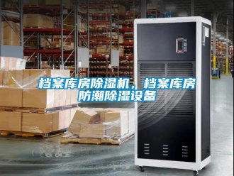 企业香蕉视频APP下载地址档案库房香蕉视频一区二区机，档案库房防潮香蕉视频一区二区设备