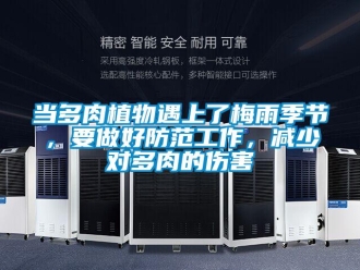 企业香蕉视频APP下载地址当多肉植物遇上了梅雨季节，要做好防范工作，减少对多肉的伤害