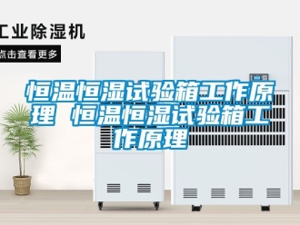 知识百科恒温恒湿试验箱工作原理 恒温恒湿试验箱工作原理