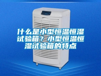 知识百科什么是小型恒温恒湿试验箱？小型恒温恒湿试验箱的特点