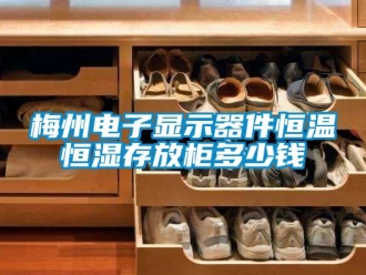 知识百科梅州电子显示器件恒温恒湿存放柜多少钱
